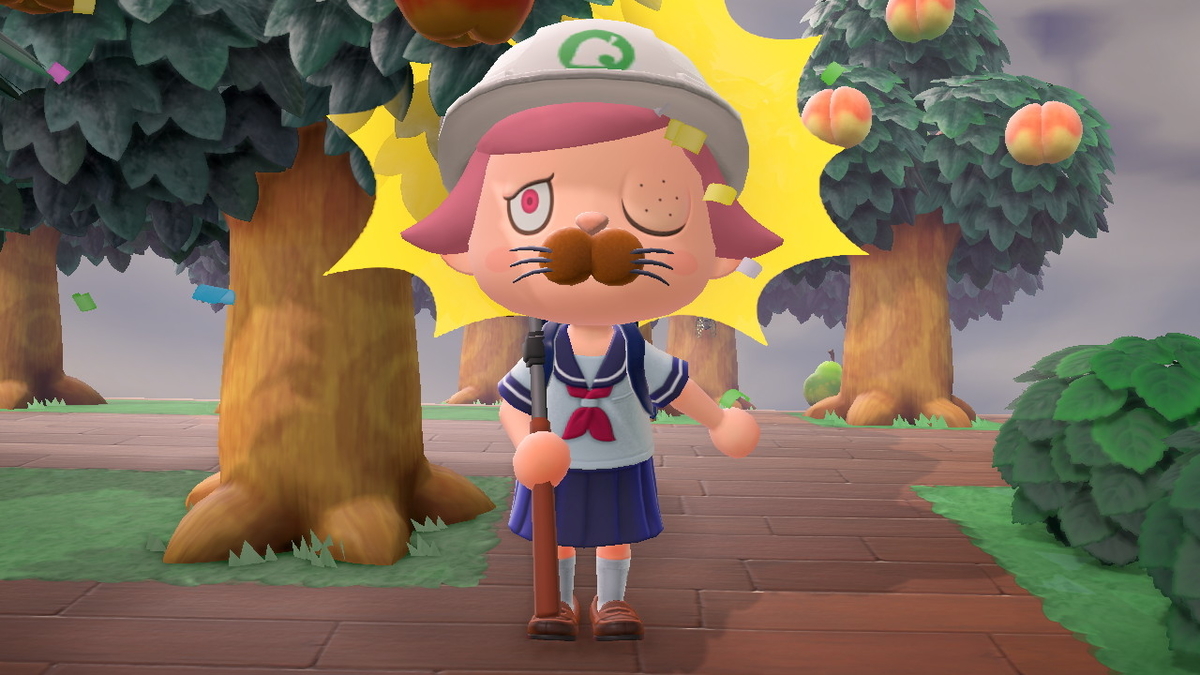 Switch あつまれ どうぶつの森 封印された Amazon.co.jp: Animal Crossing New Horizons(輸入版:北米