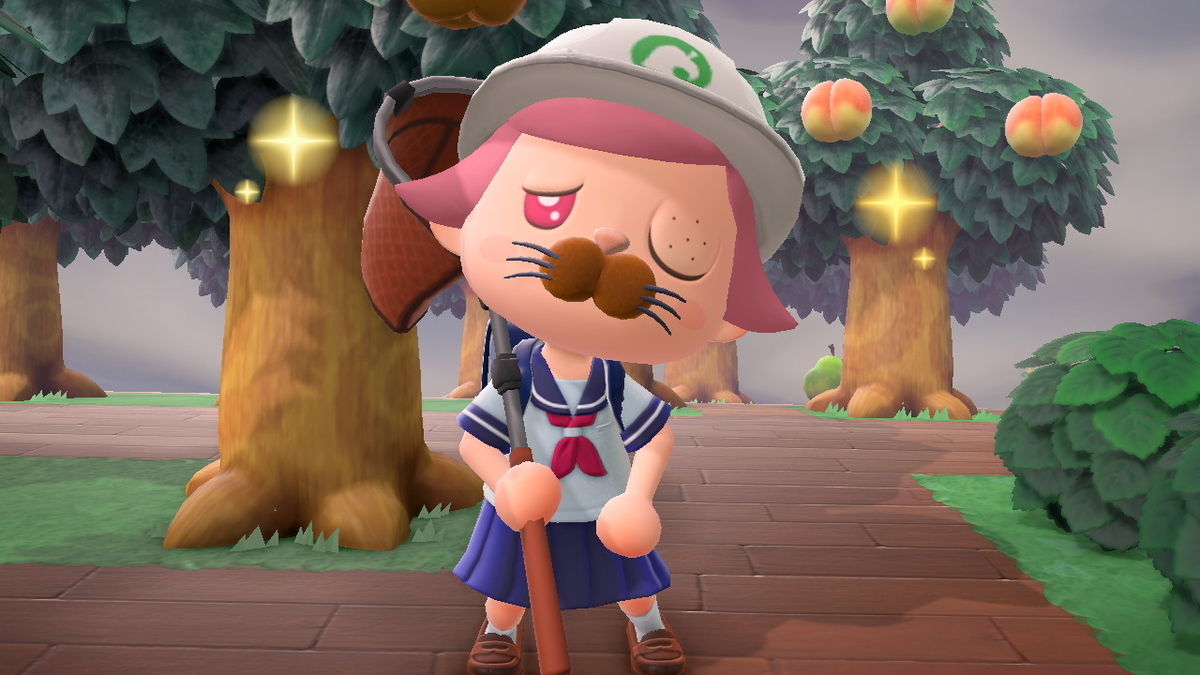 Switch あつまれ どうぶつの森 封印された hq720.jpg?sqp=-