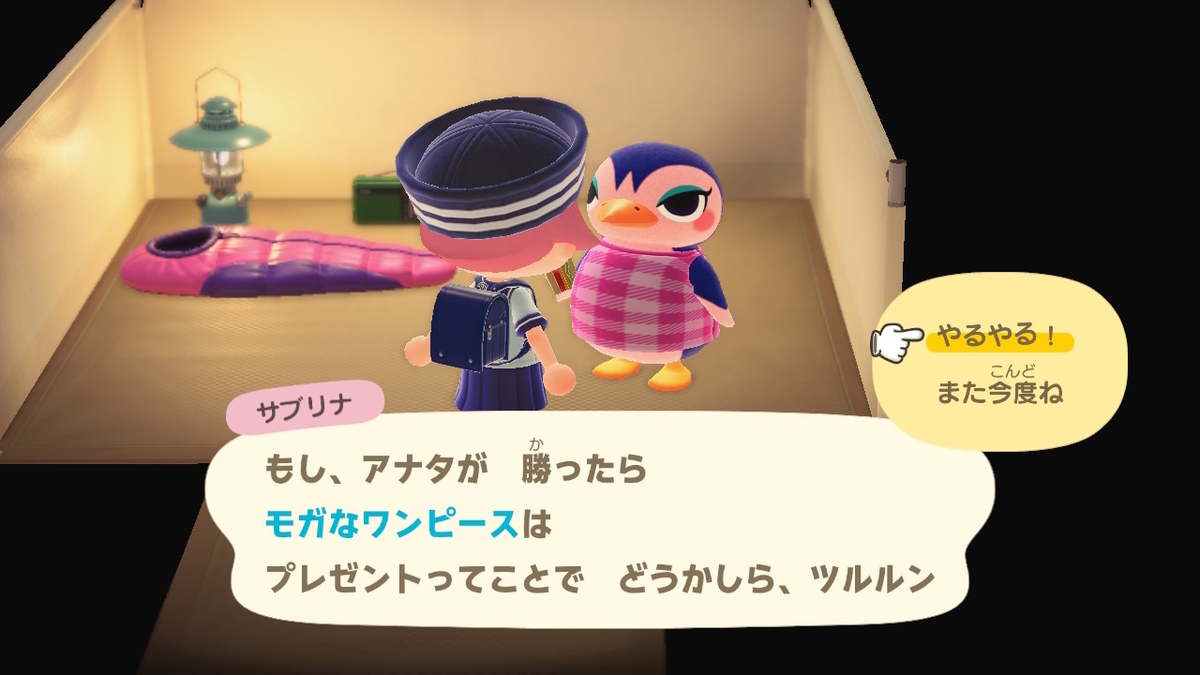 ニンテンドースイッチ あつまれどうぶつの森 Ver.2.0.5 キャンプ場 10回目の画像