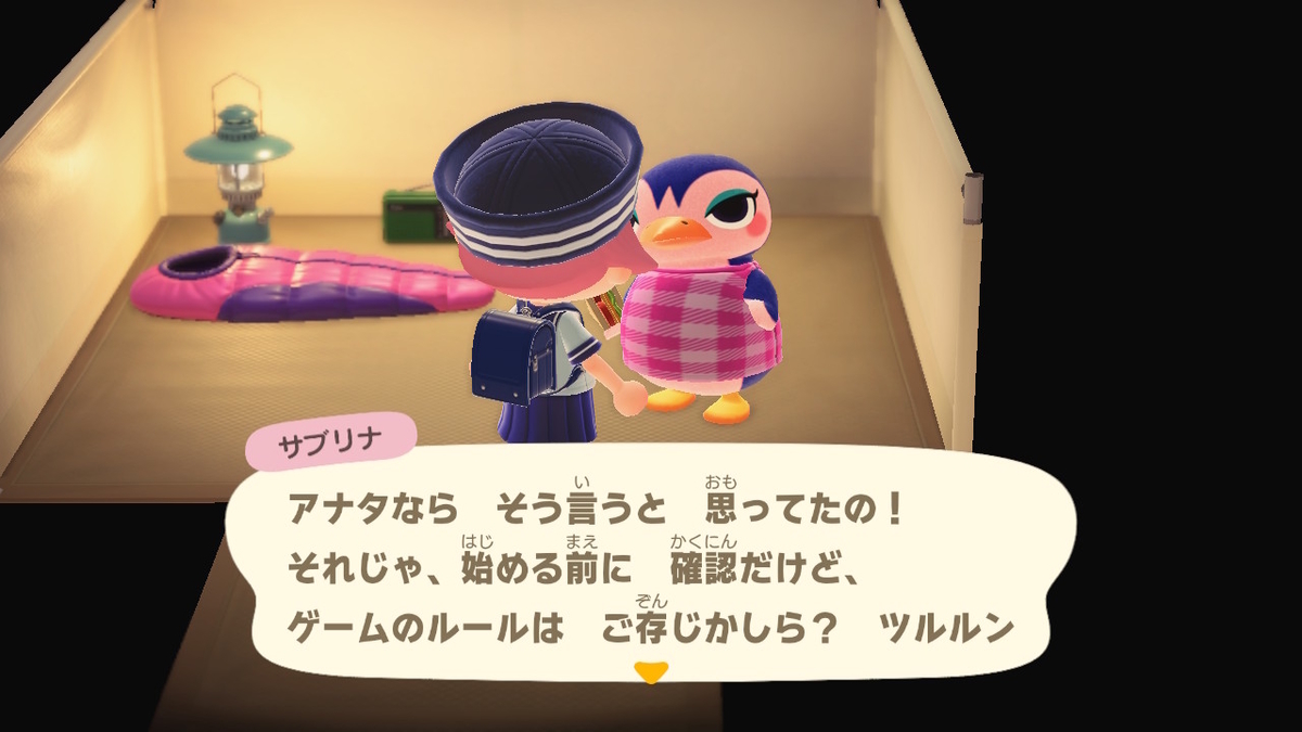 ニンテンドースイッチ あつまれどうぶつの森 Ver.2.0.5 キャンプ場 10回目の画像