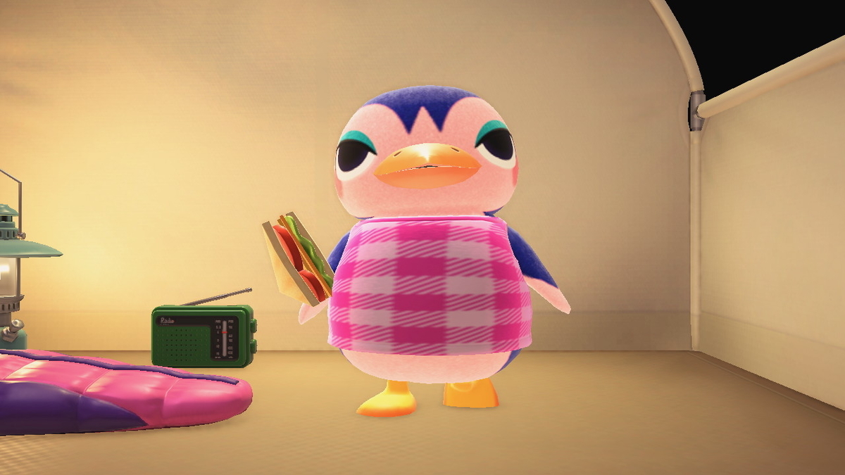 ニンテンドースイッチ あつまれどうぶつの森 Ver.2.0.5 キャンプ場 10回目の画像