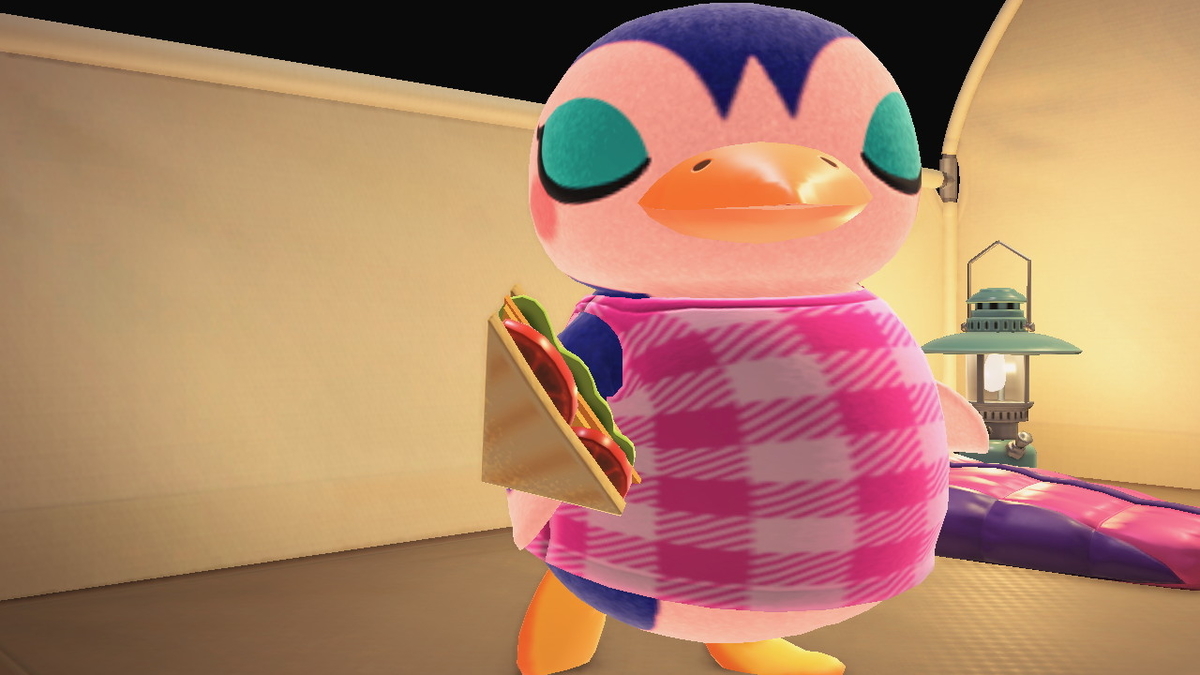 ニンテンドースイッチ あつまれどうぶつの森 Ver.2.0.5 キャンプ場 10回目の画像