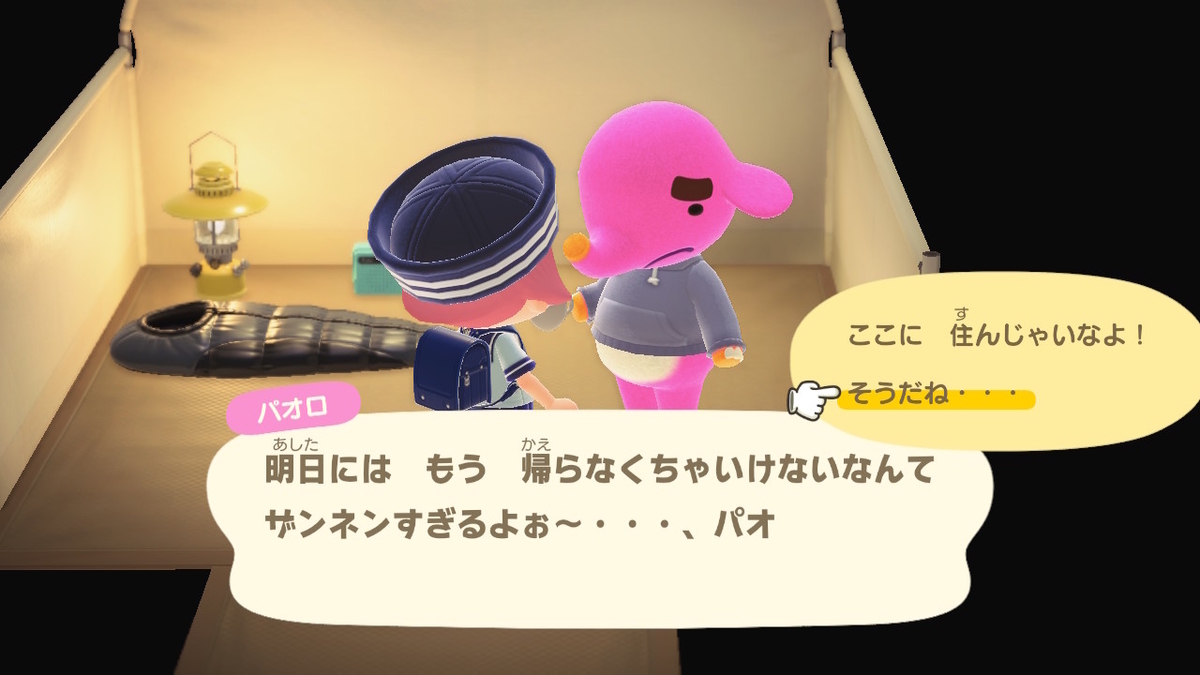 ニンテンドースイッチ あつまれどうぶつの森 Ver.2.0.5 キャンプ場 11回目の画像