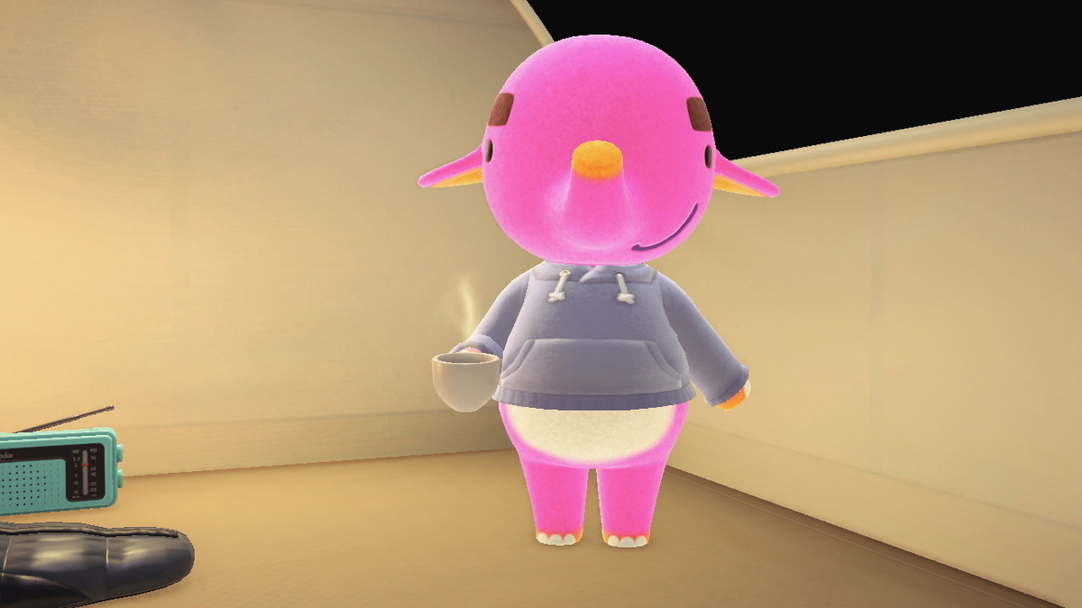 ニンテンドースイッチ あつまれどうぶつの森 Ver.2.0.5 キャンプ場 11回目の画像
