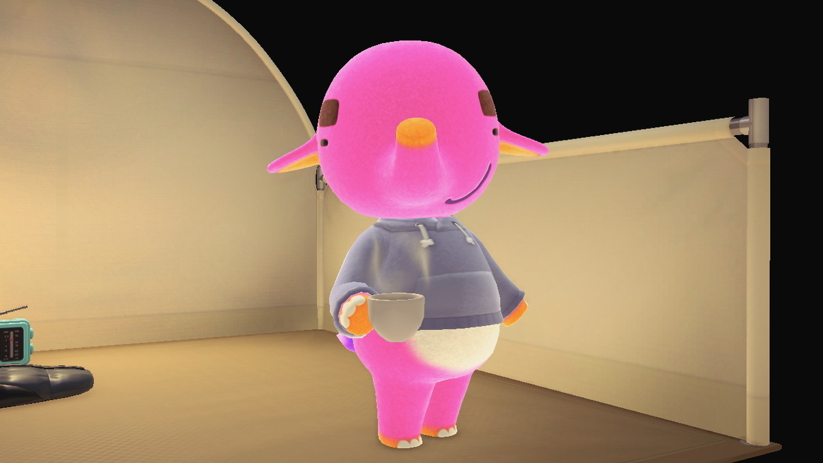ニンテンドースイッチ あつまれどうぶつの森 Ver.2.0.5 キャンプ場 11回目の画像