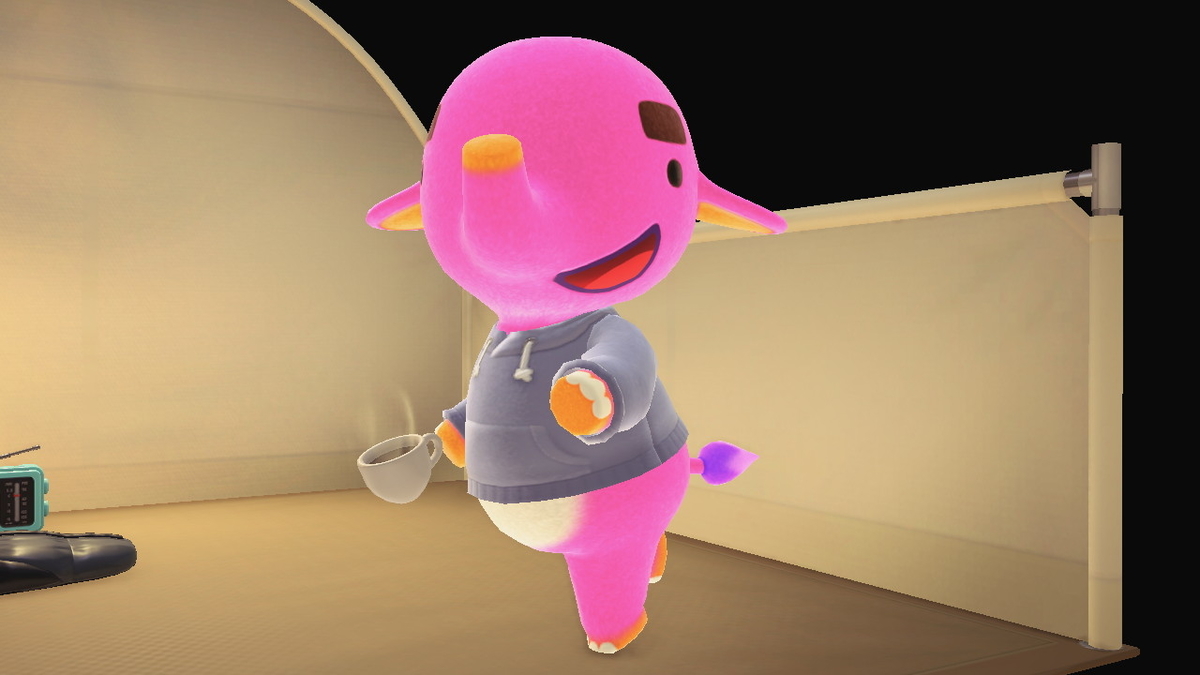 ニンテンドースイッチ あつまれどうぶつの森 Ver.2.0.5 キャンプ場 11回目の画像