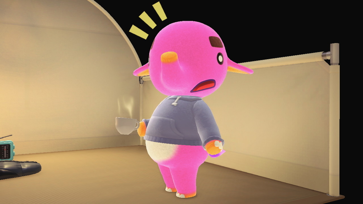 ニンテンドースイッチ あつまれどうぶつの森 Ver.2.0.5 キャンプ場 11回目の画像
