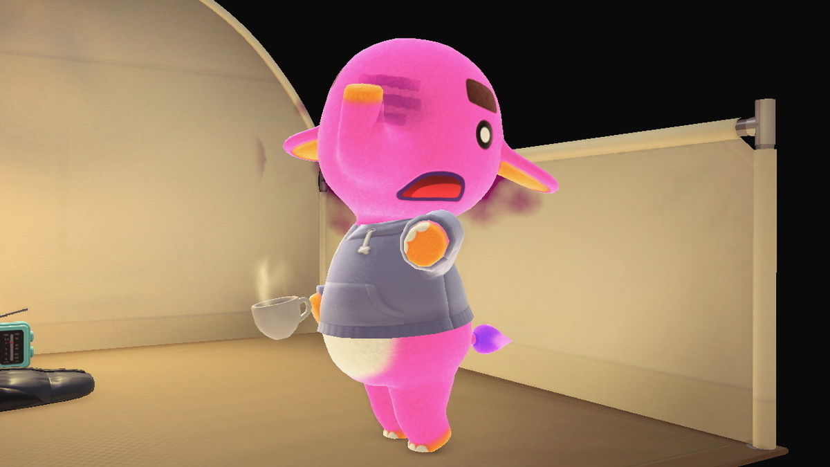 ニンテンドースイッチ あつまれどうぶつの森 Ver.2.0.5 キャンプ場 11回目の画像