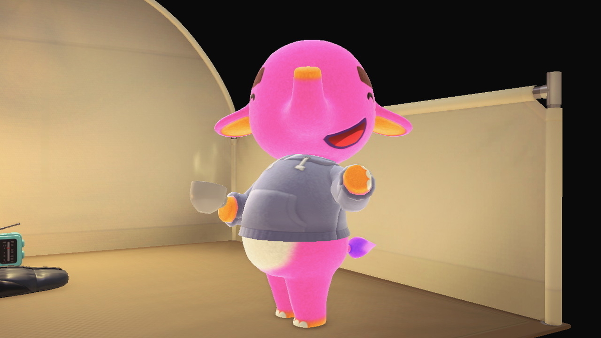 ニンテンドースイッチ あつまれどうぶつの森 Ver.2.0.5 キャンプ場 11回目の画像１
