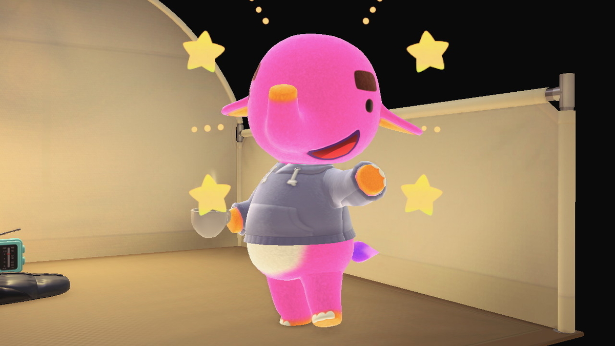 ニンテンドースイッチ あつまれどうぶつの森 Ver.2.0.5 キャンプ場 11回目の画像２