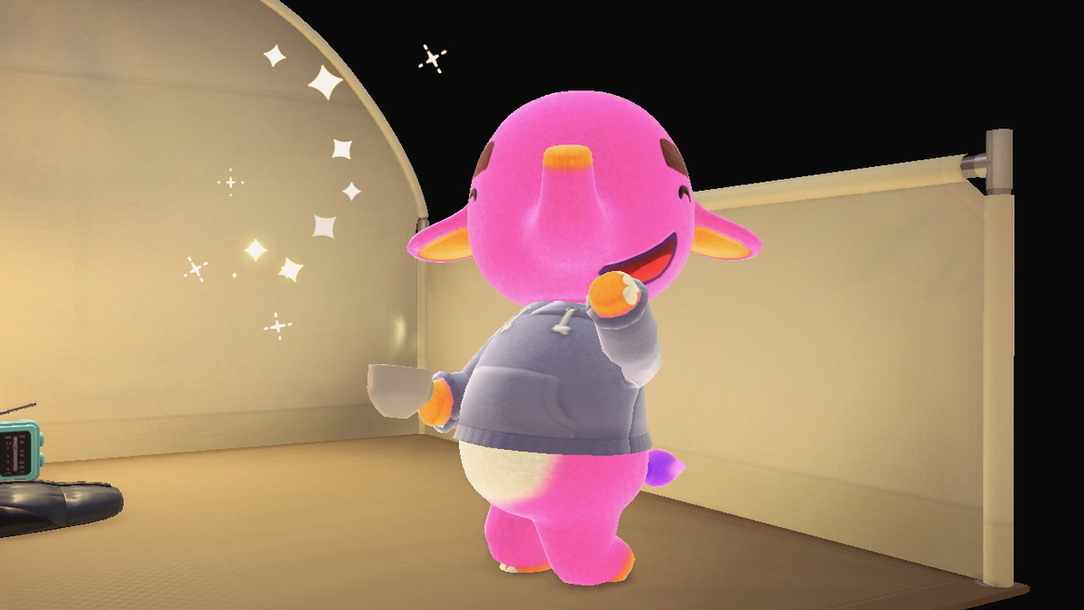 ニンテンドースイッチ あつまれどうぶつの森 Ver.2.0.5 キャンプ場 11回目の画像