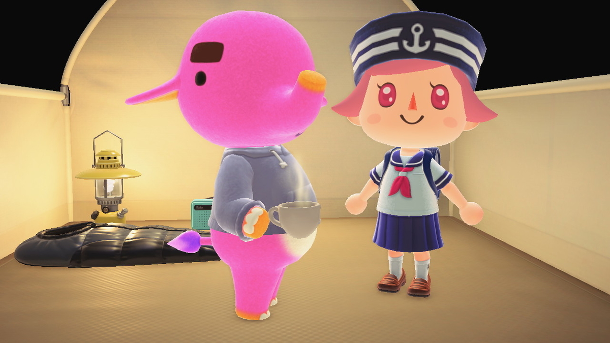 ニンテンドースイッチ あつまれどうぶつの森 Ver.2.0.5 キャンプ場 11回目の画像