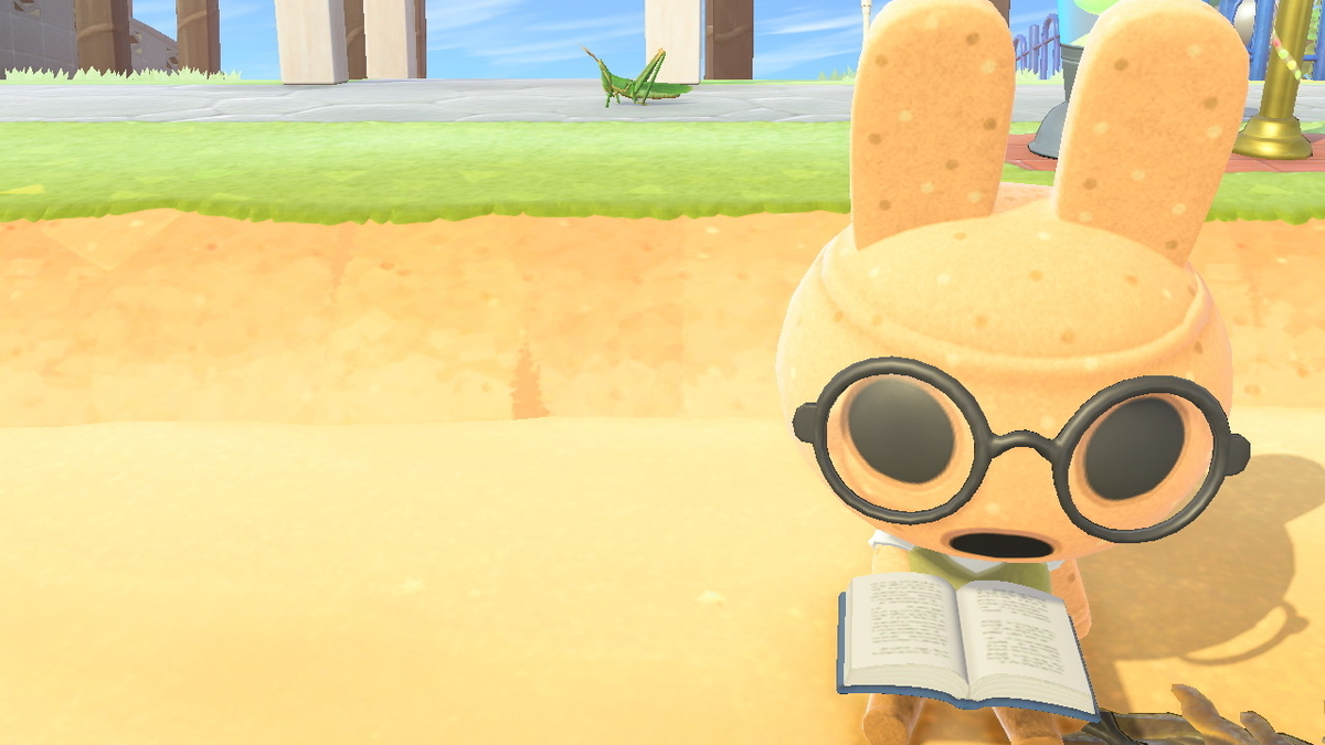 ニンテンドースイッチ あつまれ どうぶつの森 住人 やよいの日常の画像