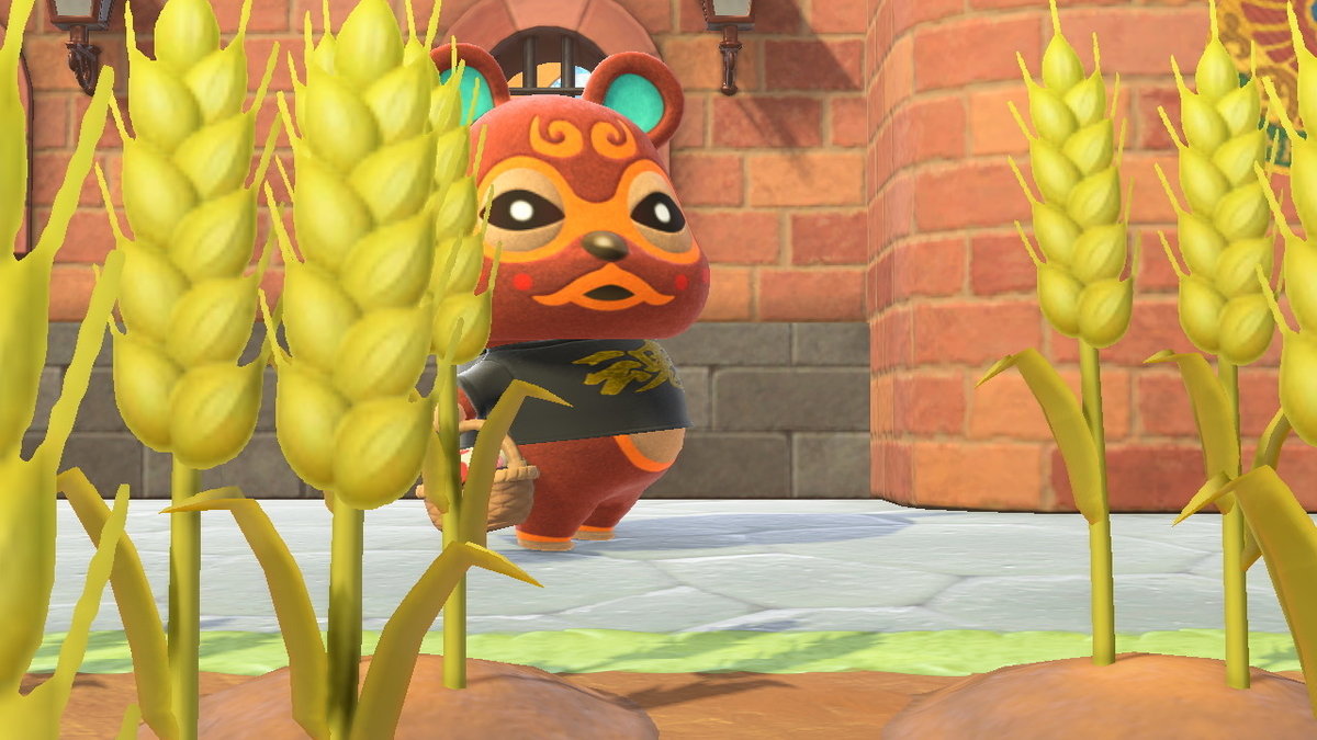 ニンテンドースイッチ あつまれ どうぶつの森 住人 やよいの日常の画像