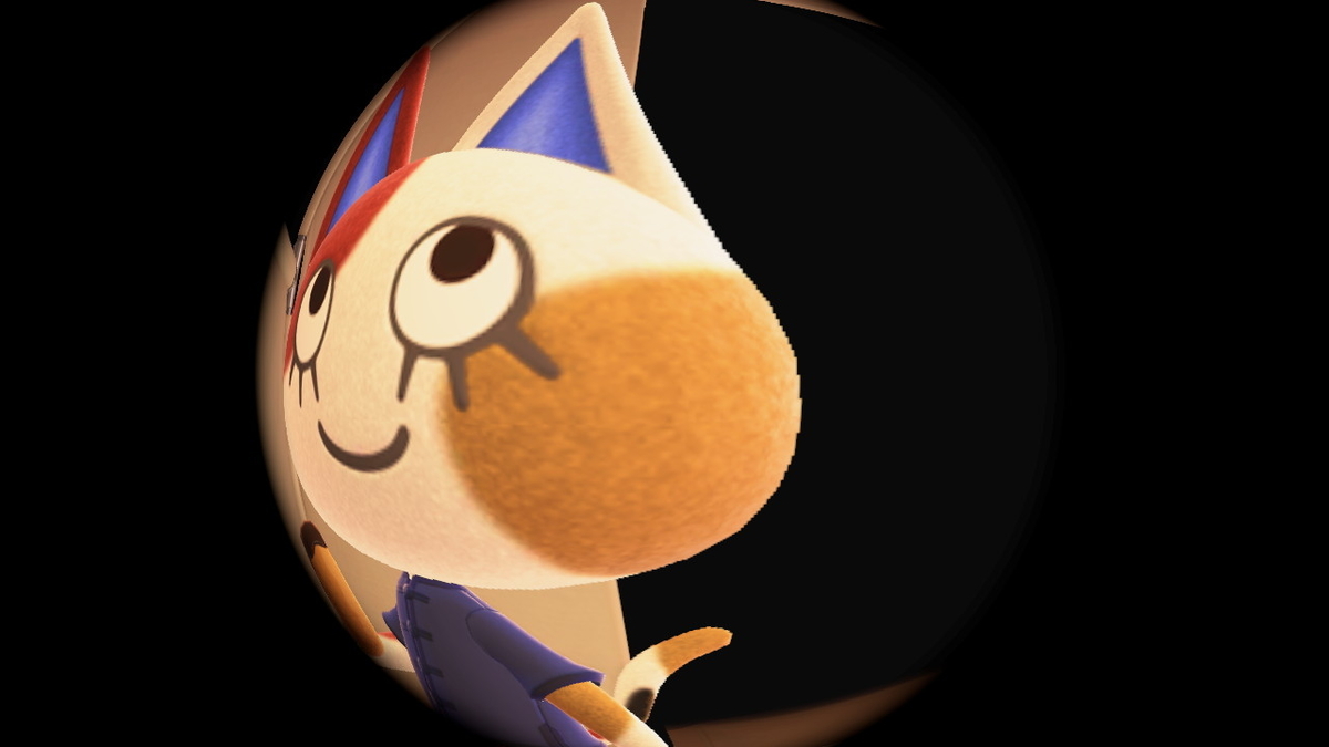 ニンテンドースイッチ あつまれどうぶつの森 Ver.2.0.5 キャンプ場 12回目の画像2