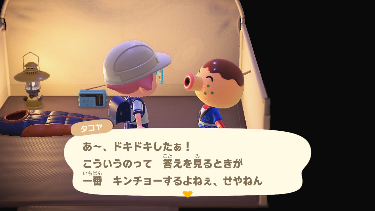 ニンテンドースイッチ あつまれどうぶつの森 Ver.2.0.5 キャンプ場 13回目の画像