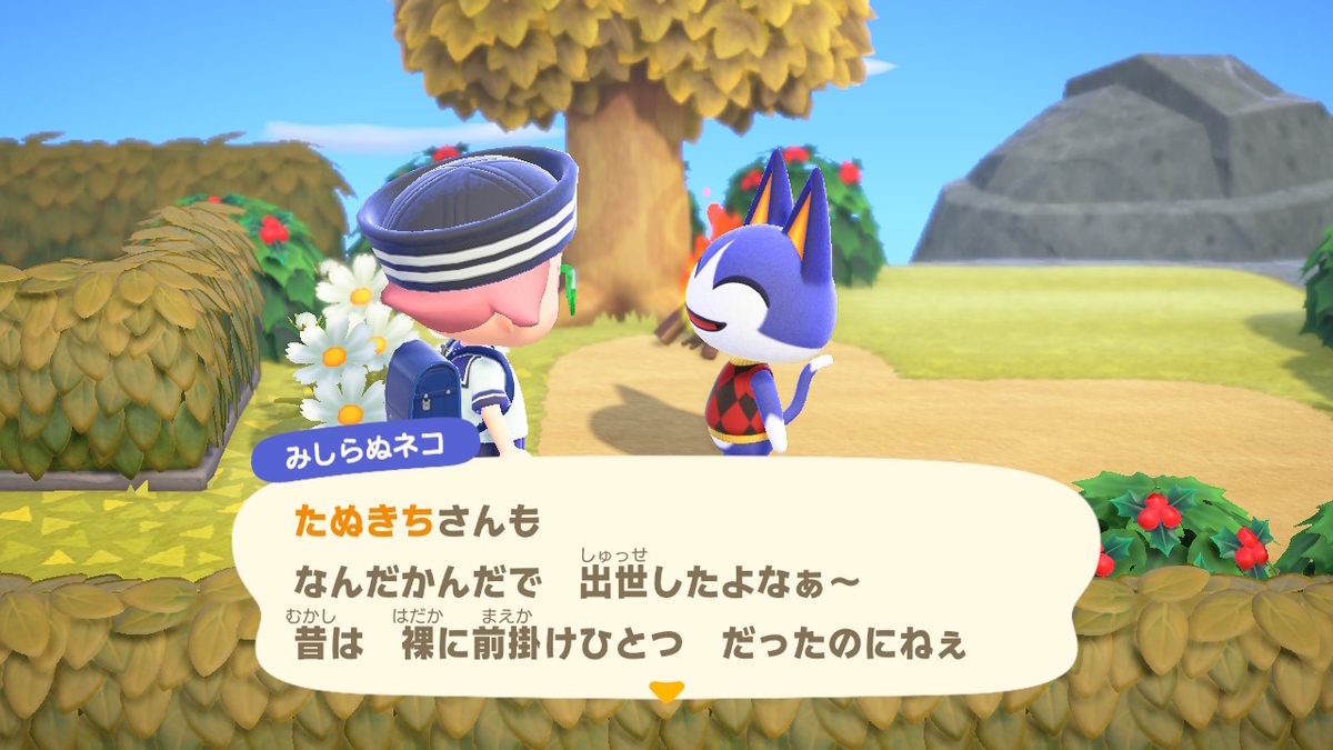 ニンテンドースイッチ あつまれどうぶつの森 Ver.2.0.5 メーデーツアーの画像