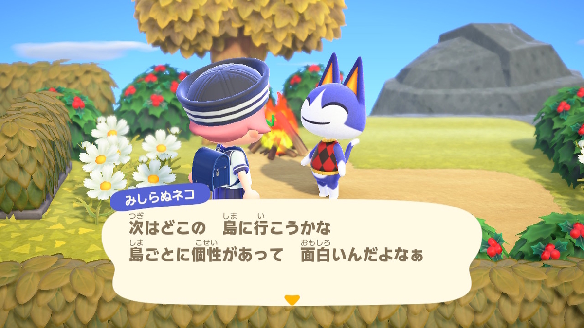 ニンテンドースイッチ あつまれどうぶつの森 Ver.2.0.5 メーデーツアーの画像