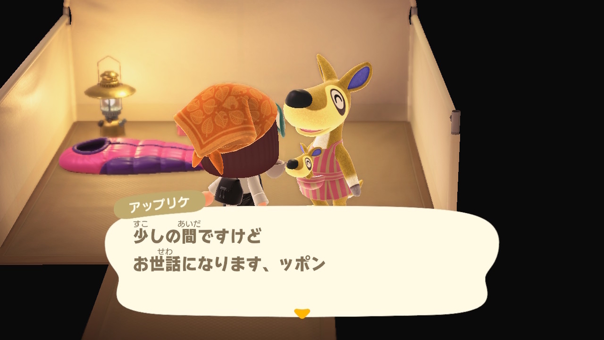 ニンテンドースイッチ あつまれどうぶつの森 キャンプ場 14回目の画像