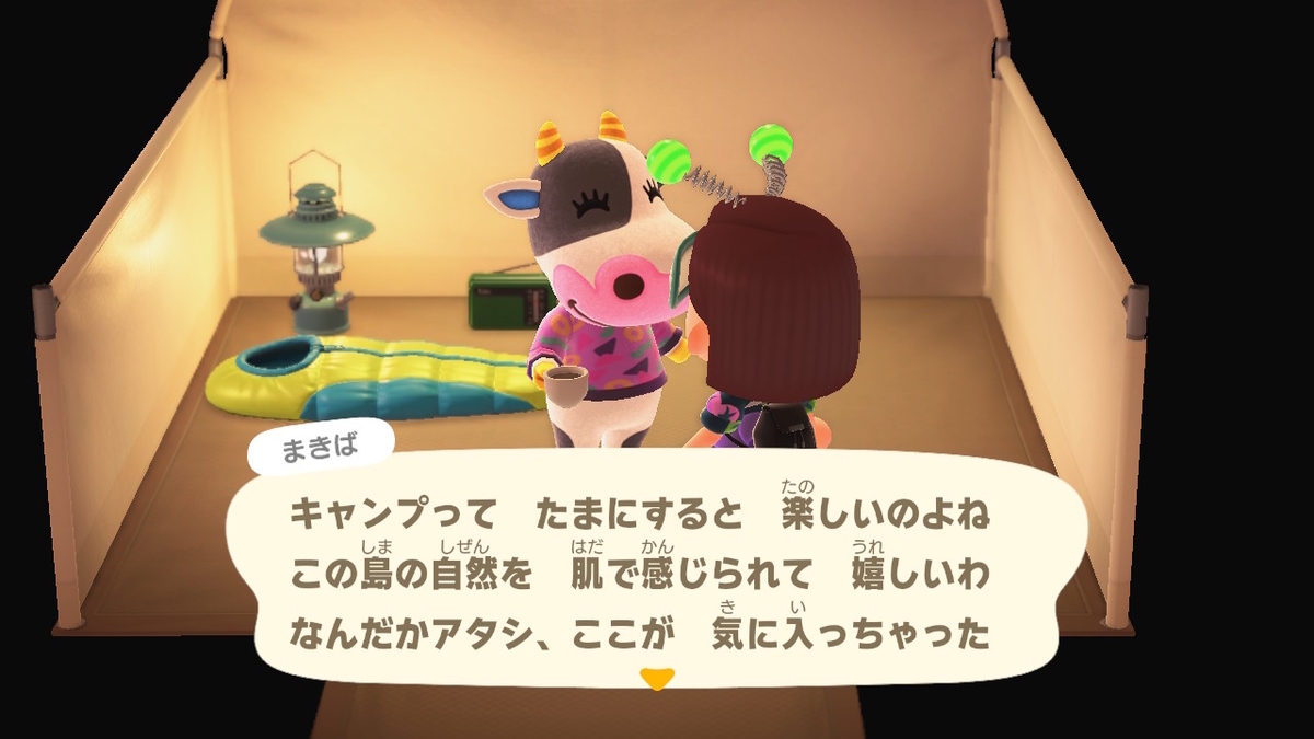 ニンテンドースイッチ あつまれどうぶつの森 キャンプ場 15回目の画像