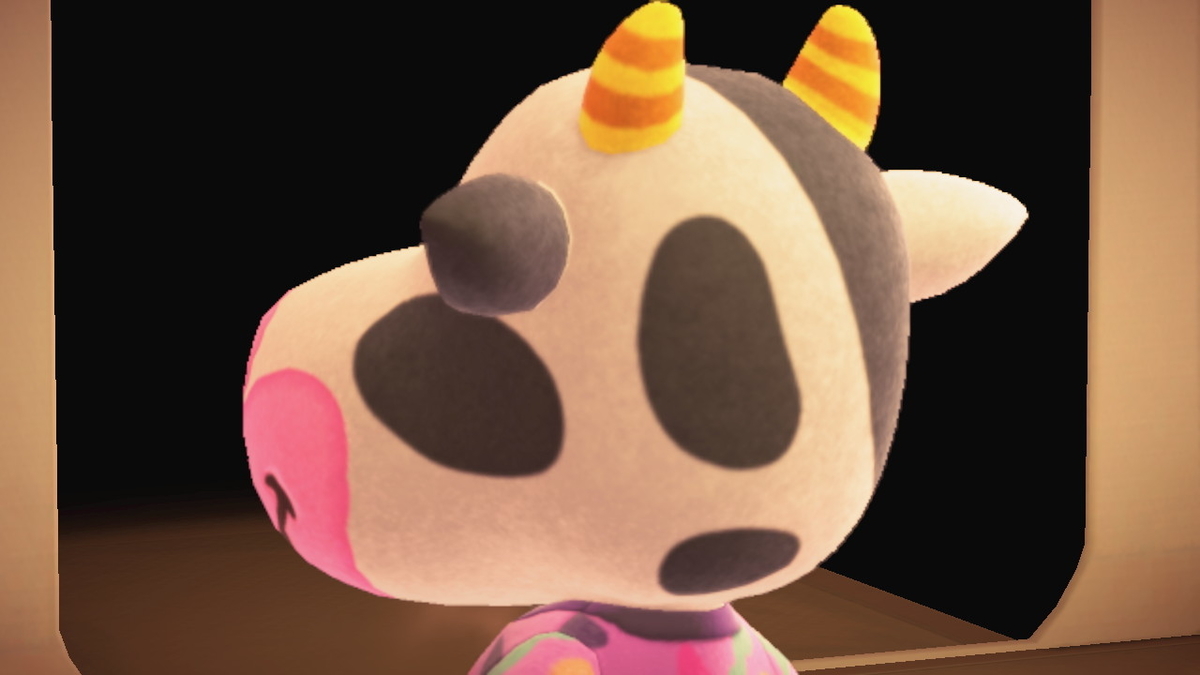 ニンテンドースイッチ あつまれどうぶつの森 キャンプ場 15回目の画像