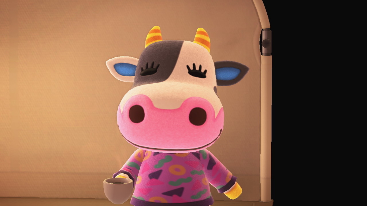 ニンテンドースイッチ あつまれどうぶつの森 キャンプ場 15回目の画像