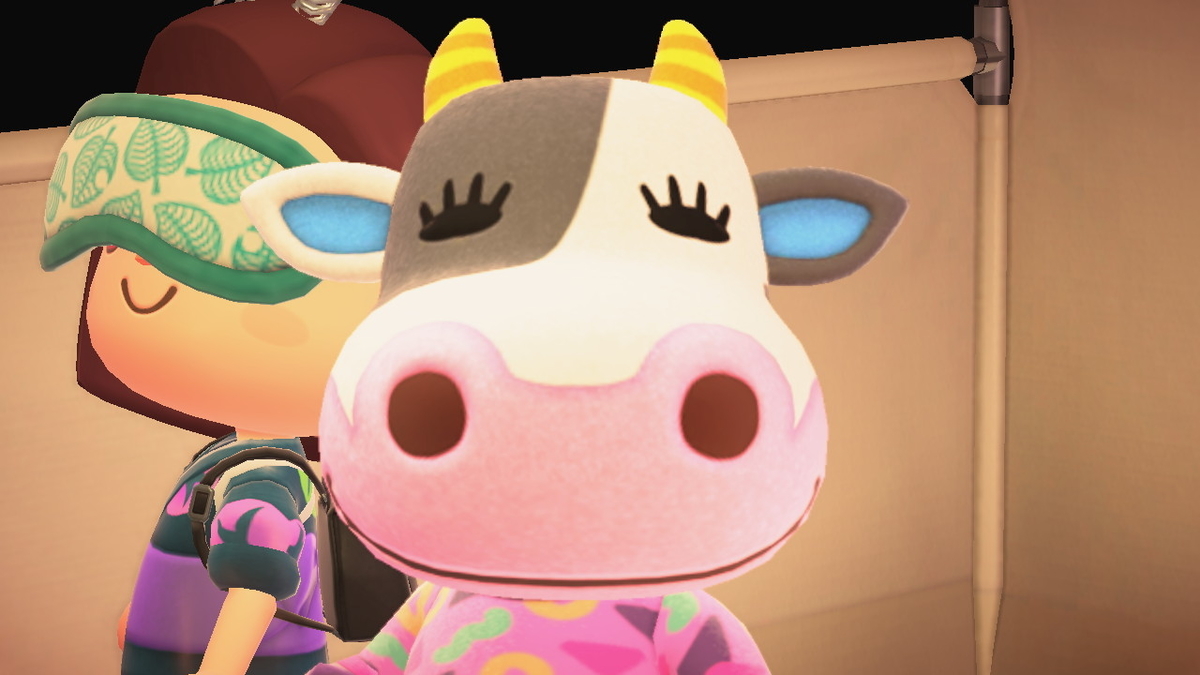 ニンテンドースイッチ あつまれどうぶつの森 キャンプ場 15回目の画像