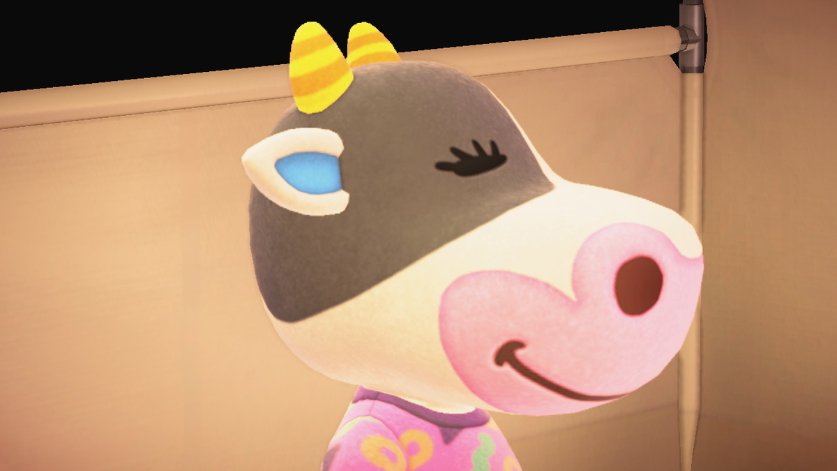 ニンテンドースイッチ あつまれどうぶつの森 キャンプ場 15回目の画像