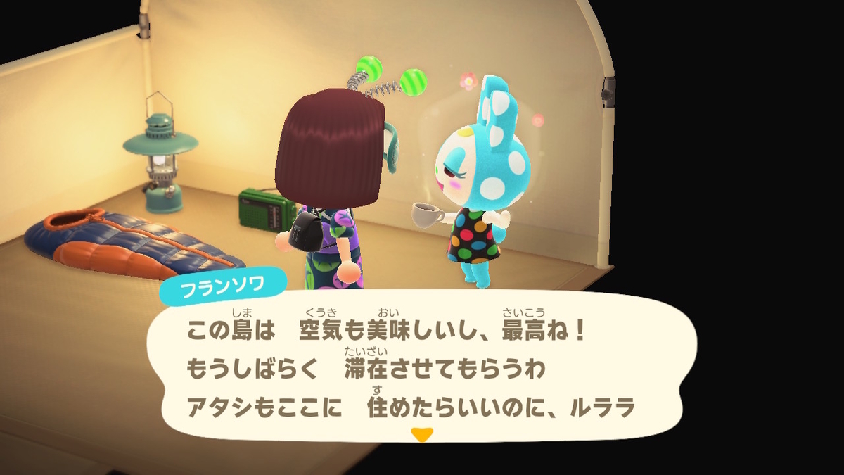 ニンテンドースイッチ あつまれどうぶつの森 キャンプ場 16回目の画像