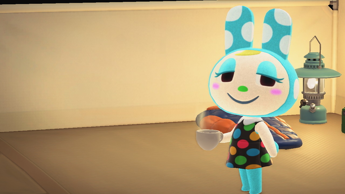 ニンテンドースイッチ あつまれどうぶつの森 キャンプ場 16回目の画像