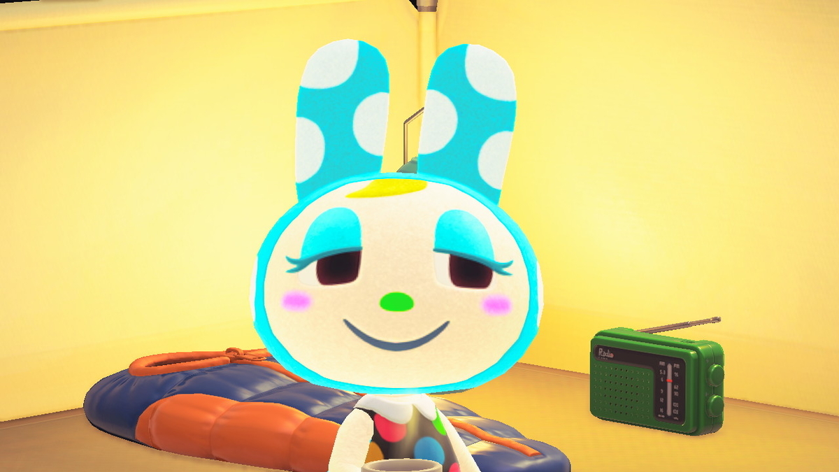 ニンテンドースイッチ あつまれどうぶつの森 キャンプ場 16回目の画像