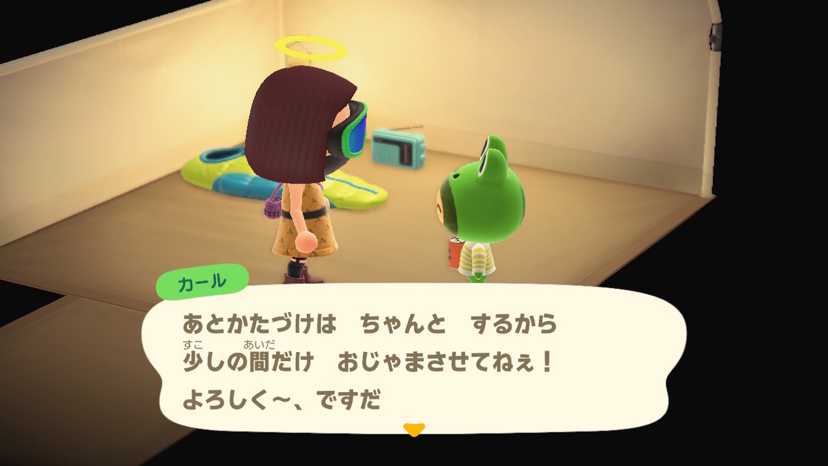 ニンテンドースイッチ あつまれどうぶつの森 キャンプ場 17回目の画像