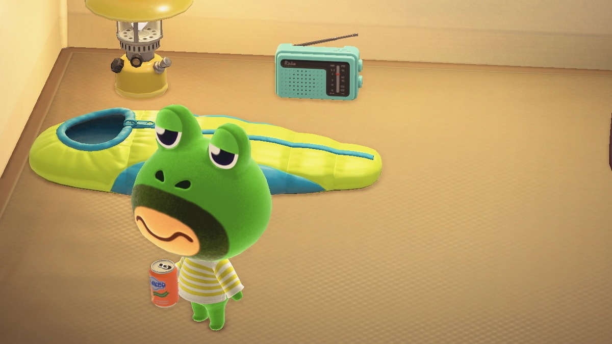 ニンテンドースイッチ あつまれどうぶつの森 キャンプ場 17回目の画像
