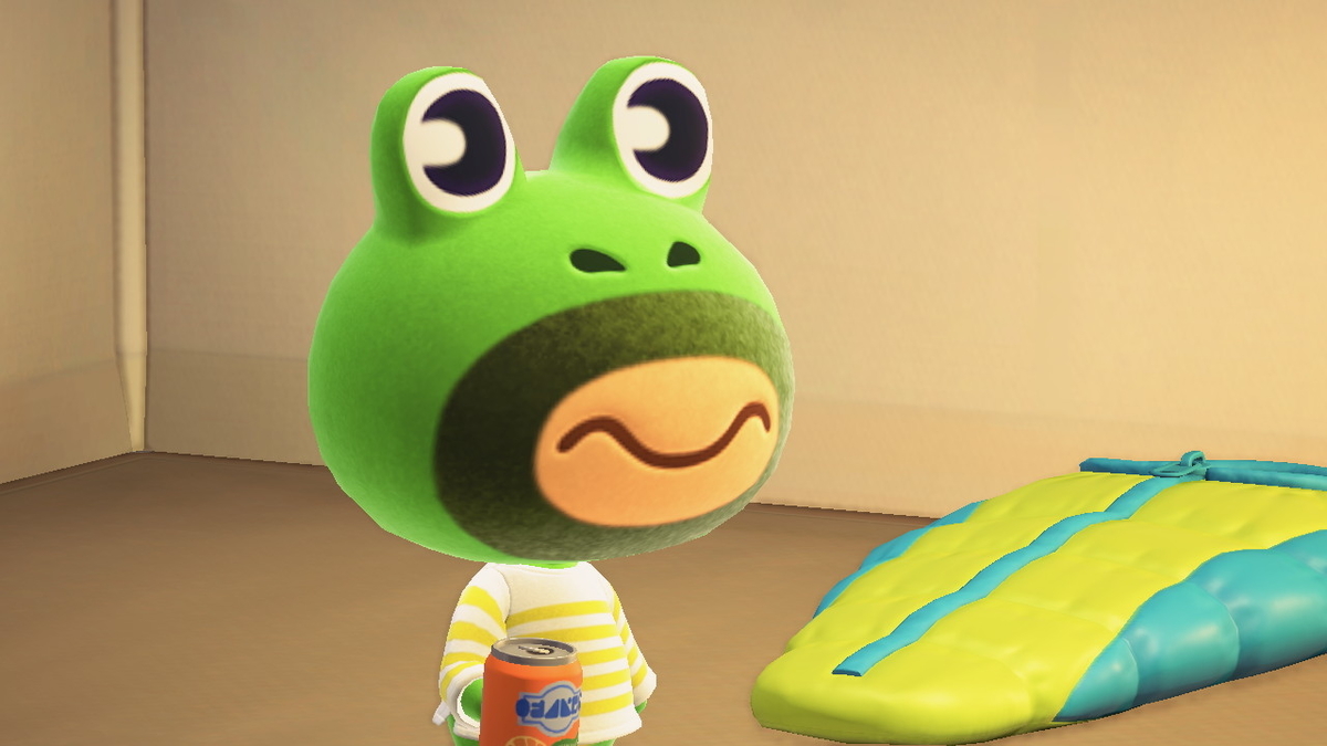 ニンテンドースイッチ あつまれどうぶつの森 キャンプ場 17回目の画像