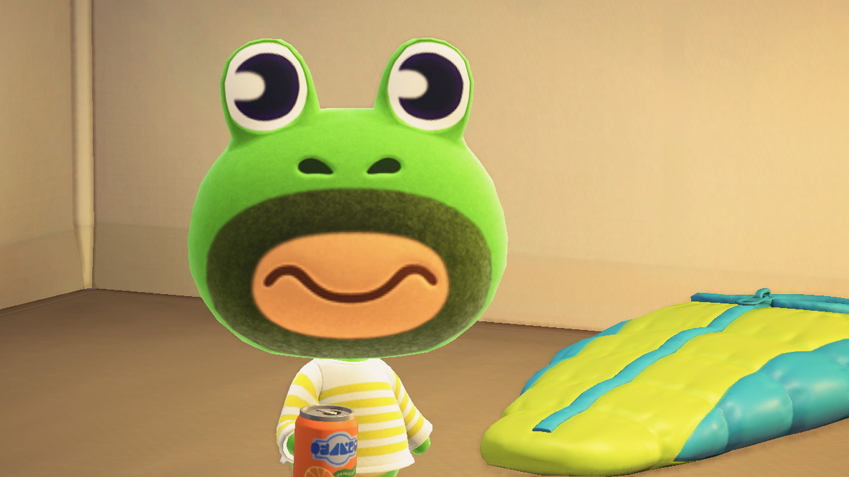 ニンテンドースイッチ あつまれどうぶつの森 キャンプ場 17回目の画像