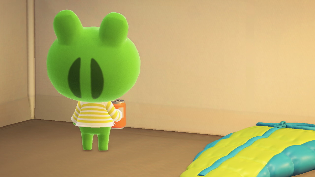 ニンテンドースイッチ あつまれどうぶつの森 キャンプ場 17回目の画像