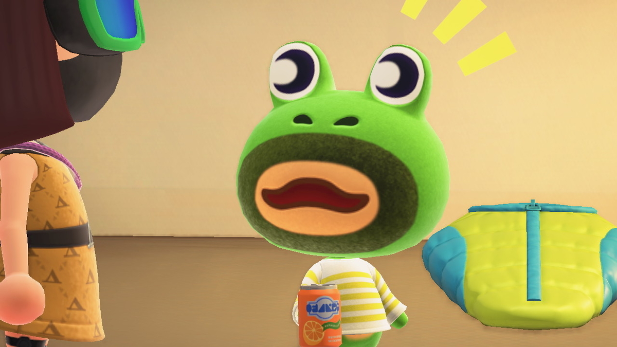 ニンテンドースイッチ あつまれどうぶつの森 キャンプ場 17回目の画像