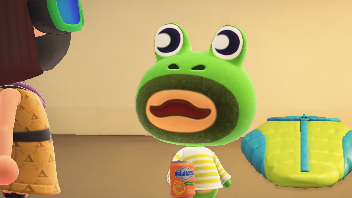 ニンテンドースイッチ あつまれどうぶつの森 キャンプ場 17回目の画像