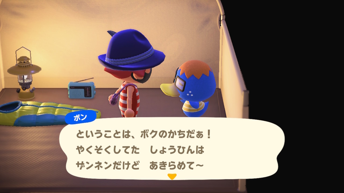 ニンテンドースイッチ あつまれどうぶつの森 キャンプ場 19回目の画像