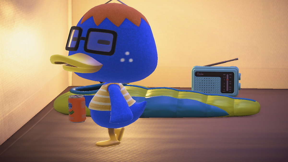 ニンテンドースイッチ あつまれどうぶつの森 キャンプ場 19回目の画像