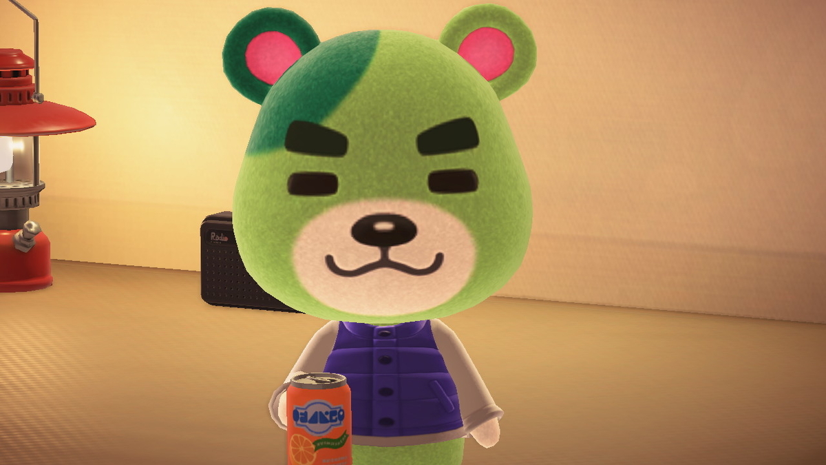 ニンテンドースイッチ あつまれどうぶつの森 キャンプ場 20回目の画像