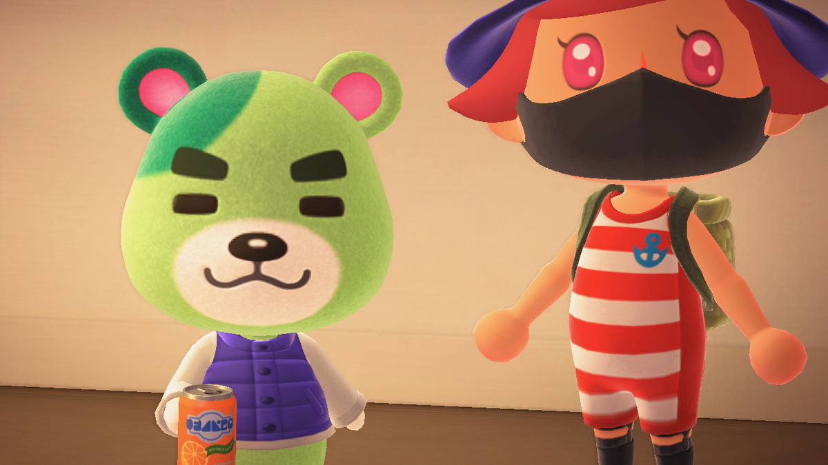 ニンテンドースイッチ あつまれどうぶつの森 キャンプ場 20回目の画像