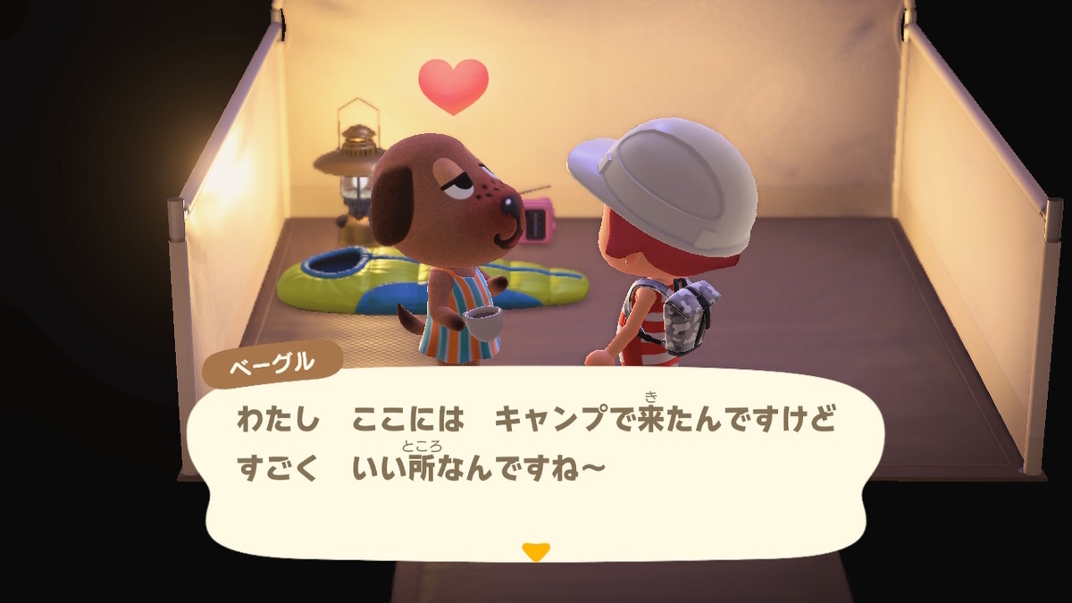ニンテンドースイッチ あつまれどうぶつの森 キャンプ場 21回目の画像
