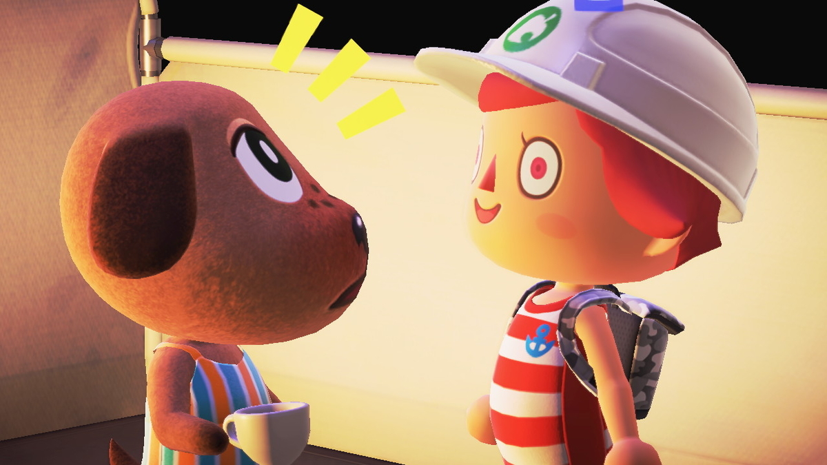 ニンテンドースイッチ あつまれどうぶつの森 キャンプ場 21回目の画像