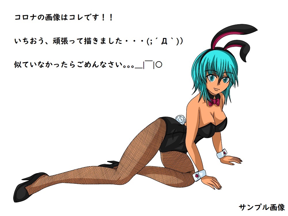 ぬーまいと工房　福山さん６月の事で！バニーガールの衣装まとめの画像