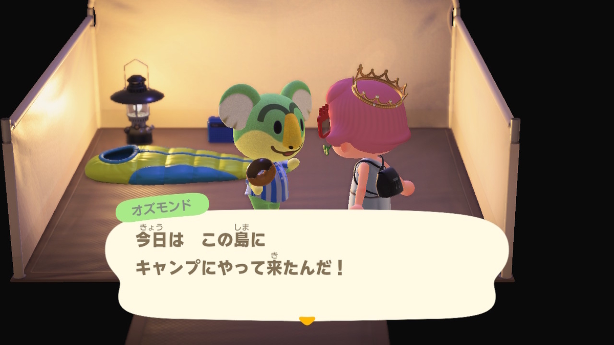 ニンテンドースイッチ あつまれどうぶつの森 キャンプ場 22回目の画像