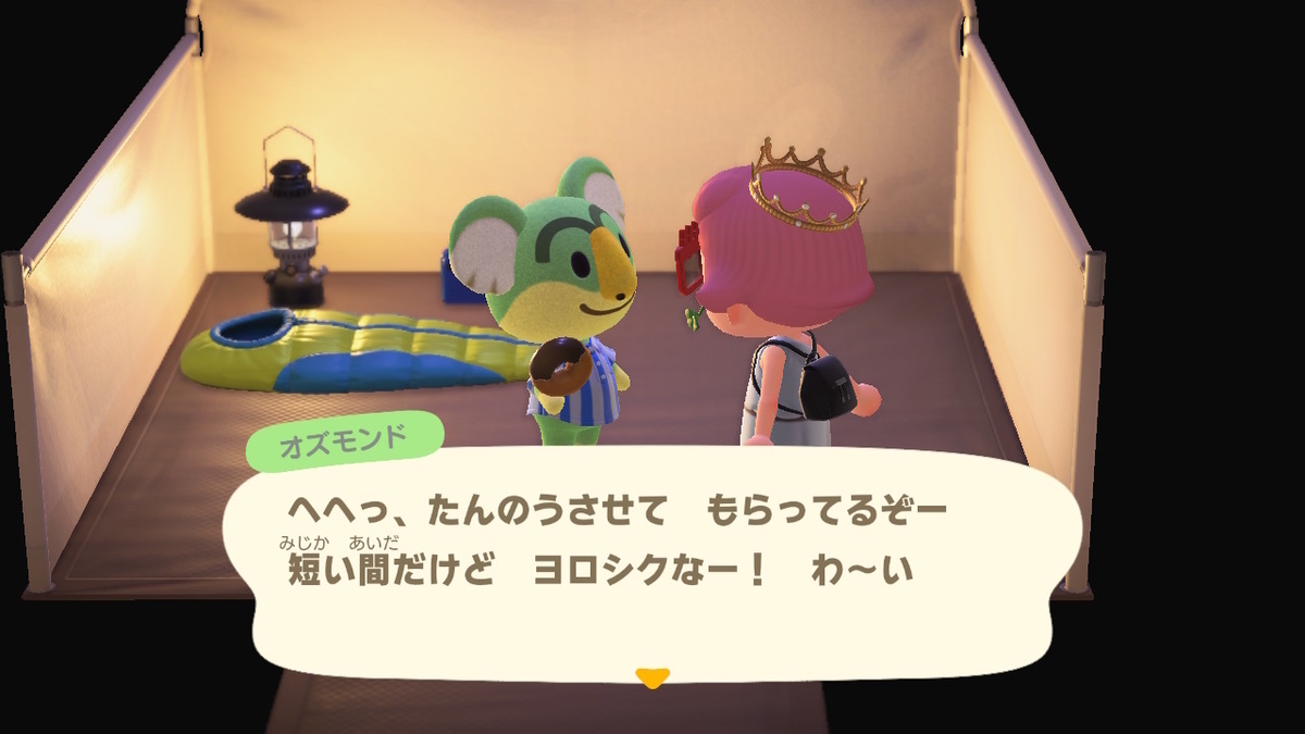 ニンテンドースイッチ あつまれどうぶつの森 キャンプ場 22回目の画像