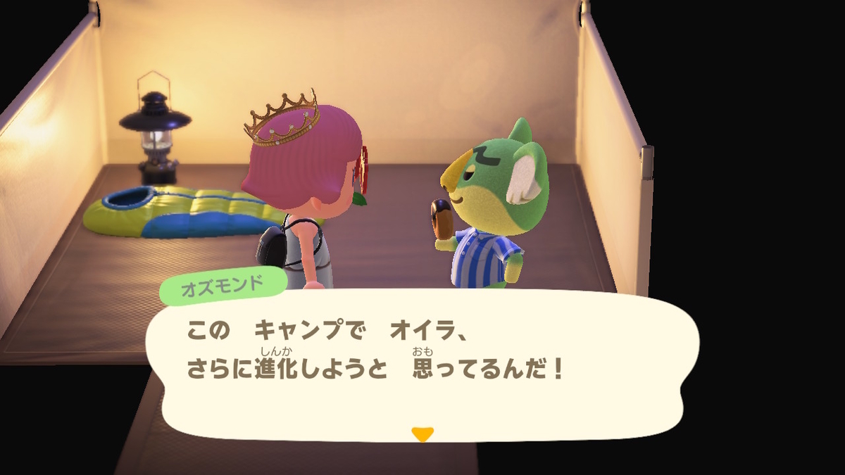 ニンテンドースイッチ あつまれどうぶつの森 キャンプ場 22回目の画像
