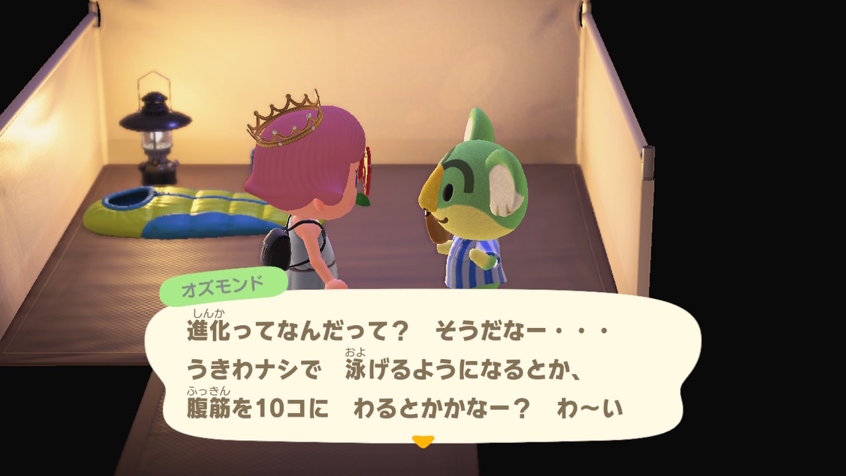 ニンテンドースイッチ あつまれどうぶつの森 キャンプ場 22回目の画像