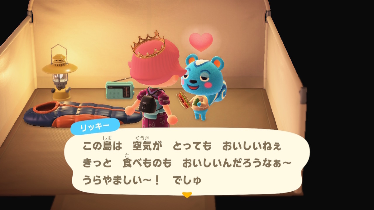 ニンテンドースイッチ あつまれどうぶつの森 キャンプ場 23回目の画像